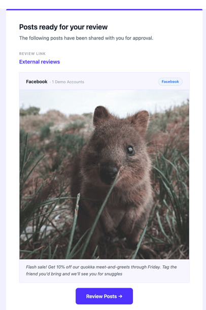 Review Email
